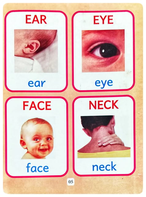 English Is Fun - My Picture Book 2 inside view