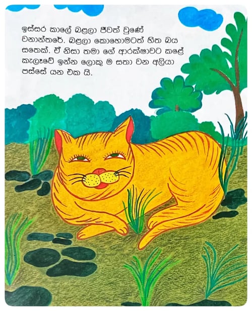 බළලා ගෙදරට ආ හැටි | Balala Gedarata A Hati inside view