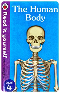 The Human Body