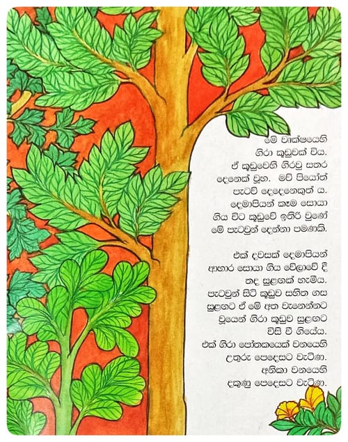 ගිරවුන් දෙදෙනාගේ කතාන්තරය | Giravun Dedenage Kathantharaya inside view