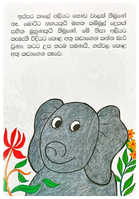 අලියාගේ හොඬේ දිකුවුන හැටි | Aliyage Honde Dikvuna Hati inside view