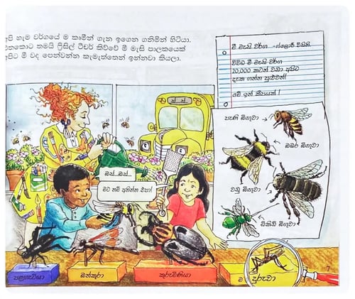 මී වදයක් තුල | Mee Wadayak Thula inside view