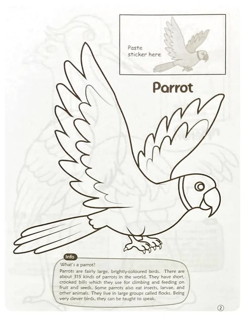 Birds Colouring Book inside view