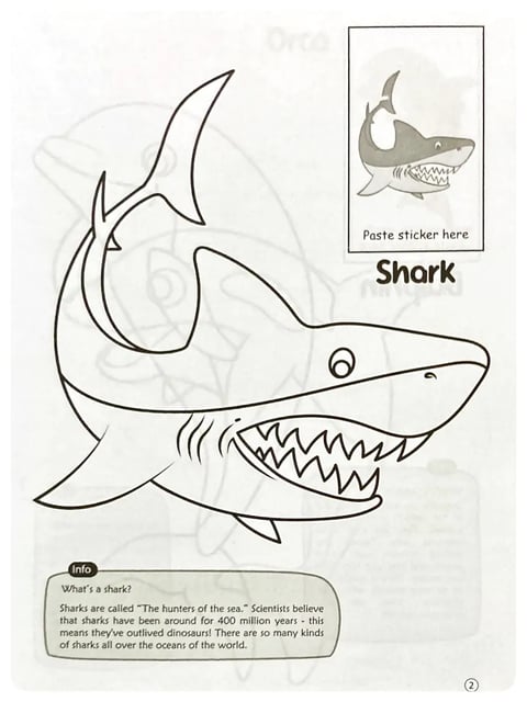 Ocean Animals Colouring Book inside view