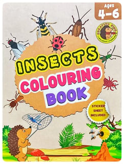 Insects Colouring Book