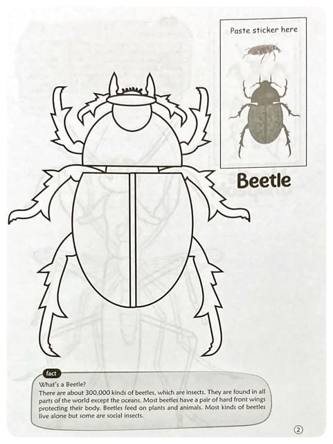 Insects Colouring Book inside view