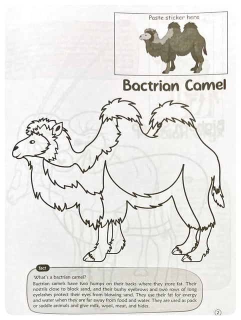 Desert Animals Colouring Book inside view