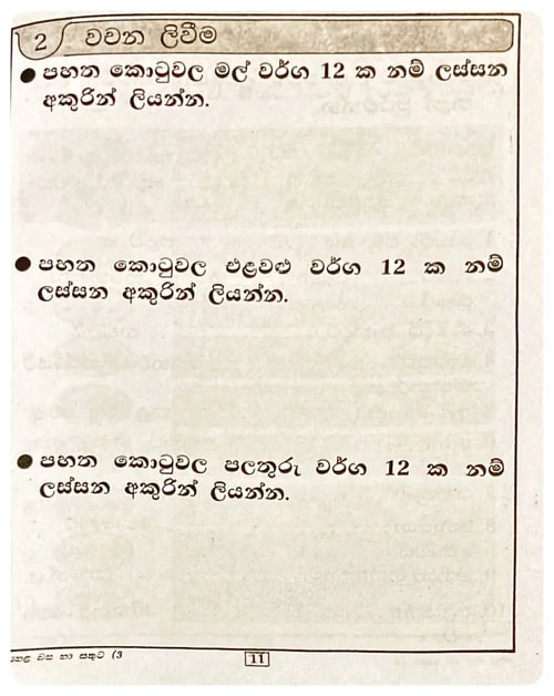 හෙළ බස හා සතුට (3 වසර) | Hela Basa Ha Sathuta 3 inside view