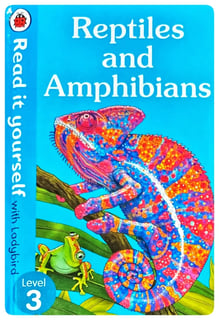 Reptiles and Amphibians