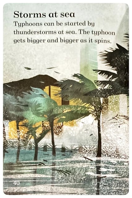 Wild Weather inside view