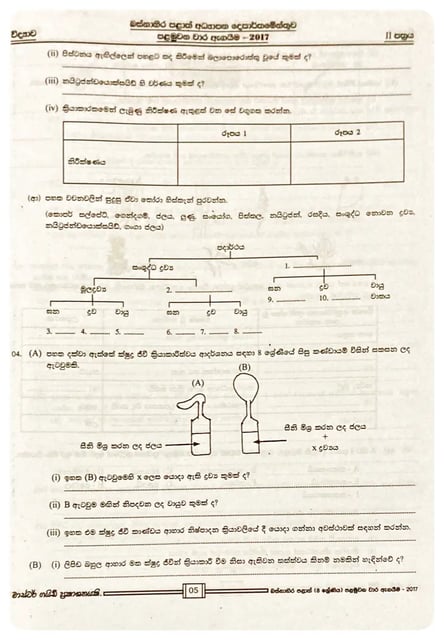 විද්‍යාව 8 ශ්‍රේණිය | Vidyava Grade 8 Pepers inside view