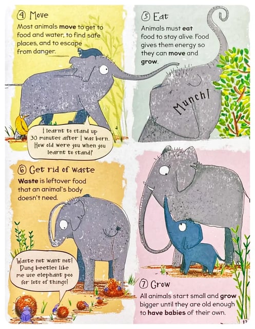 Incredibly - Hippos, Hiccups, Fossils and Much More inside view