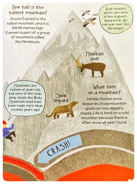 Curious Questions and Answers about Our Planet inside view
