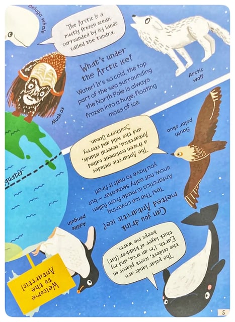 Curious Questions and Answers about Polar Lands inside view