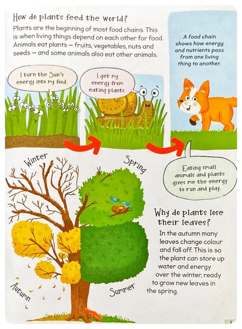 Curious Questions and Answers about Plants inside view