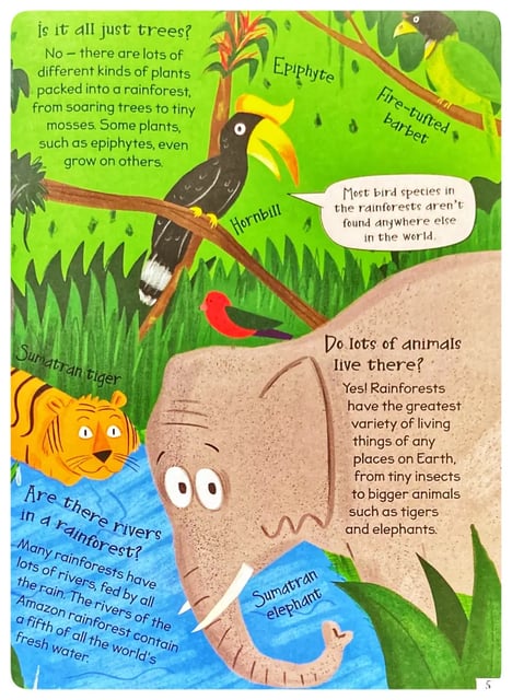 Curious Questions and Answers about Rainforests inside view
