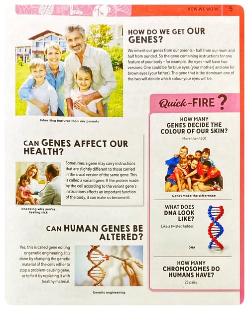 Ultimate Questions and Answers Human Body inside view