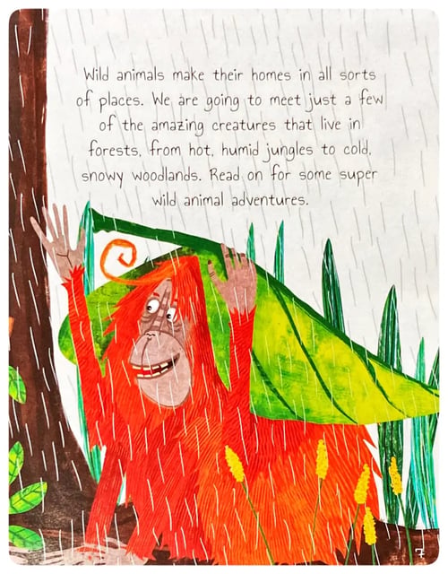 Wild Animals Tales - Hard Cover inside view