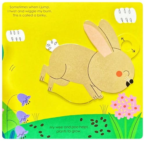 My Little Green World Rabbit inside view
