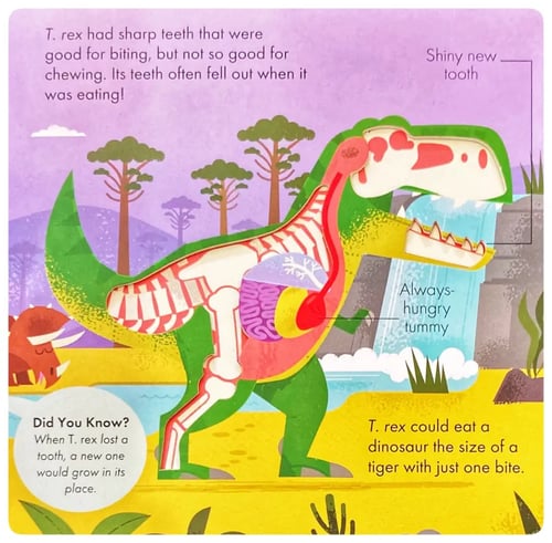 How it Works - Dinosaur inside view