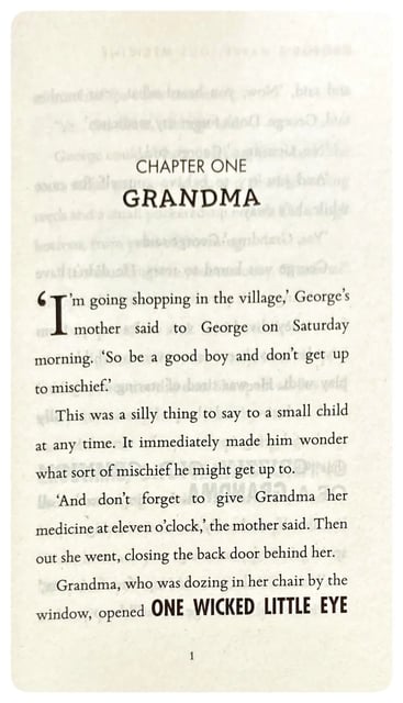 George's Marvellous Medicine inside view