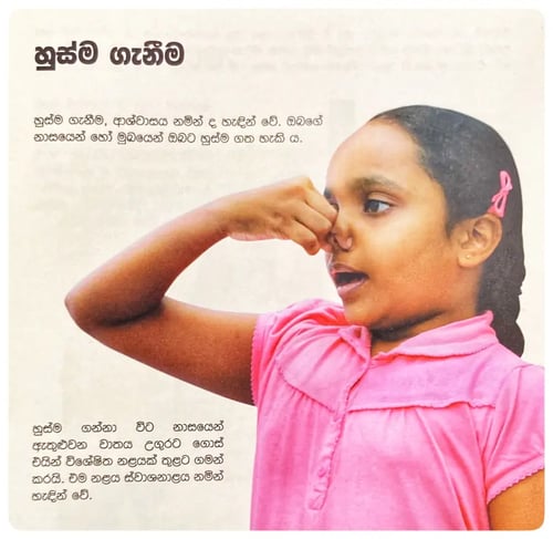 අප හුස්ම ගන්නේ ඇයි? | Apa Husma Ganne Ayi? inside view