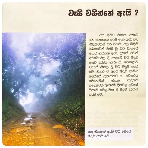 වැස්ස ගැන තොරතුරු | Vassa Gana Thorathuru inside view