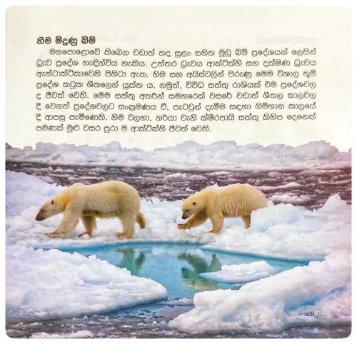 දධ්‍රැව වාසී සතුන් හඳුනාගනිමු | Drawa Vasi Sathun Handunaganimu inside view