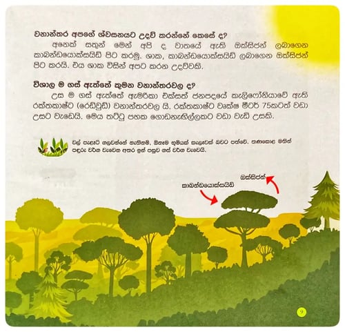 ලෝකයේ විවිධ වනාන්තර | Lokaye Vividha Vananthara inside view