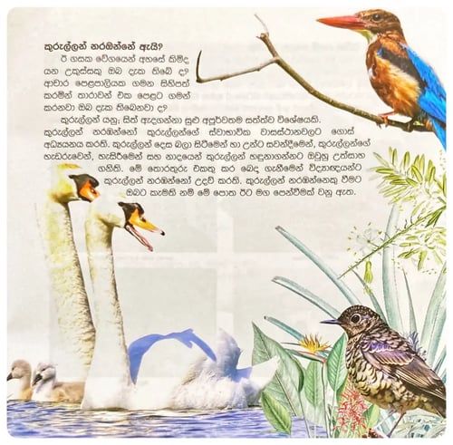 කුරුල්ලන් නරඹමු | Kurullan Narambamu inside view