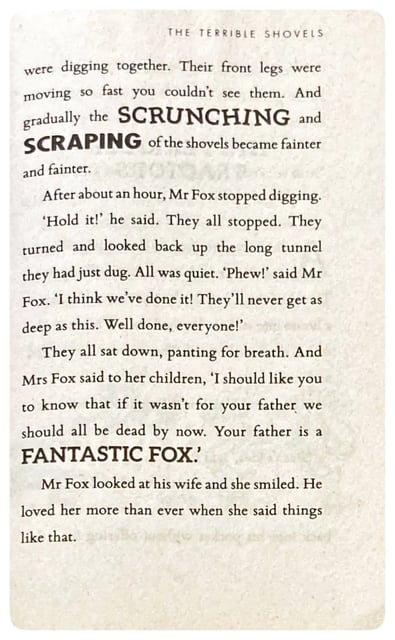 Fantastic Mr Fox inside view