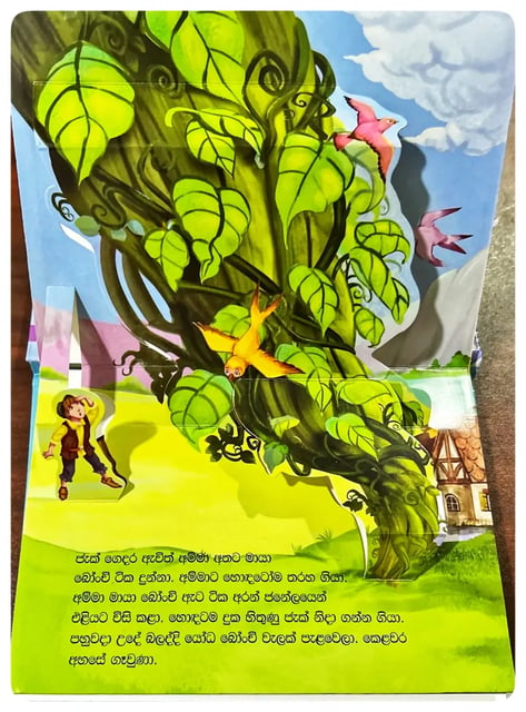 ජැක් සහ මායා බෝංචි වැල | Jack Saha Maya Bonchi Wala inside view