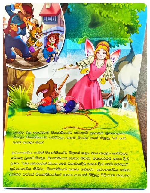 රූකඩ දඟයා | Rukada Dangaya inside view