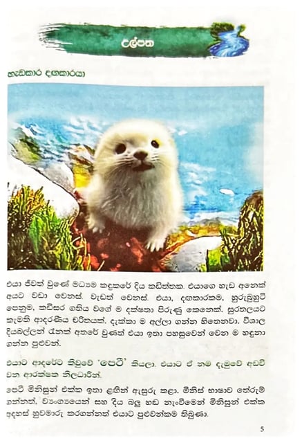 ගඟ විසිතුරු පෙටී මිතුරු | Ganga Wisithuru Peti Mithuru inside view